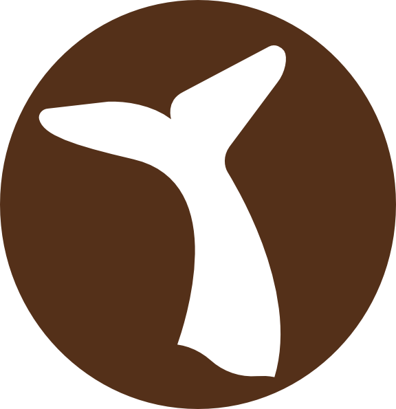 Cola De Ballena Png (576x595)