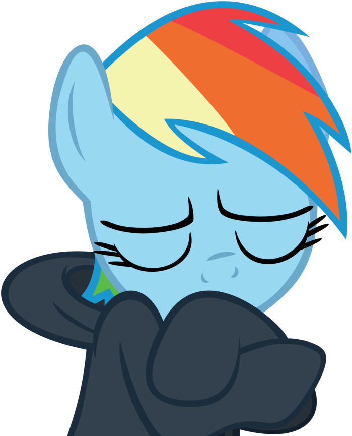 2 By Dasduriel - Rainbow Dash In A Hoodie (887x901)