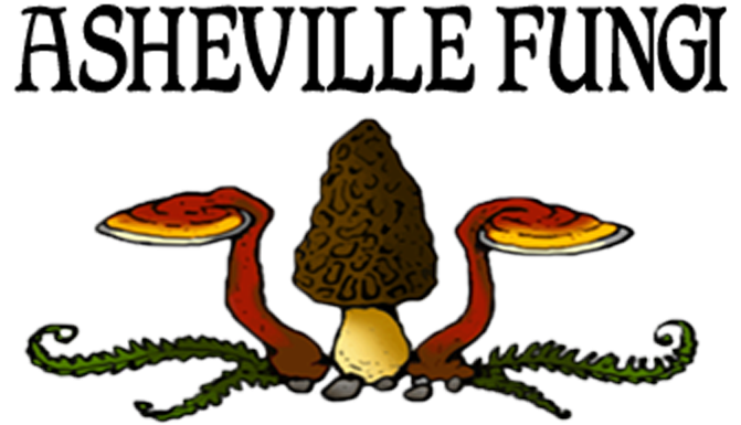 Home - Products - Cafepress Ye Olde Fart Throw Pillow (708x400)