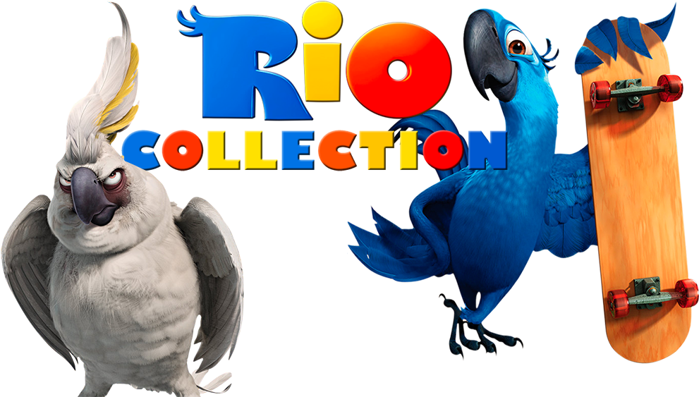 Rio Collection Image - Jawaharlal Nehru Architecture And Fine Arts University (1000x562)