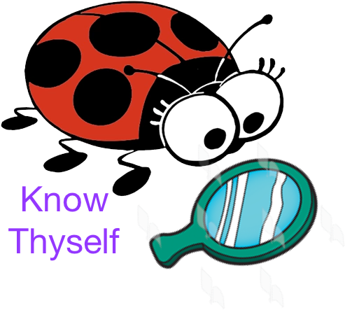 Smurfs: The Lost Village (558x541)