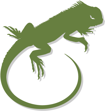 Fire Volunteer Iguana - Volunteer Fire Department (612x452)