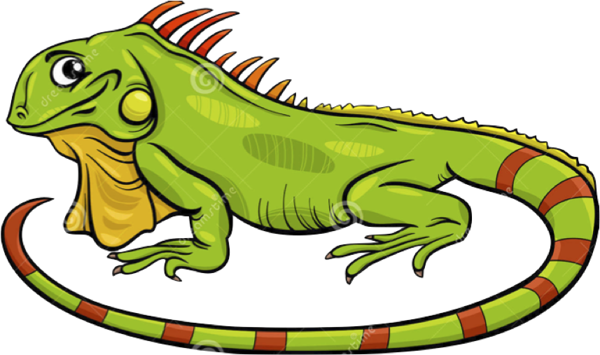 Iguana Cartoon (1300x864)