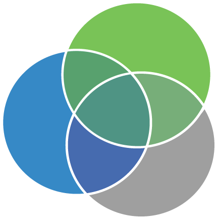 Key Features Of The Life Income Plan℠ - Circle (473x491)