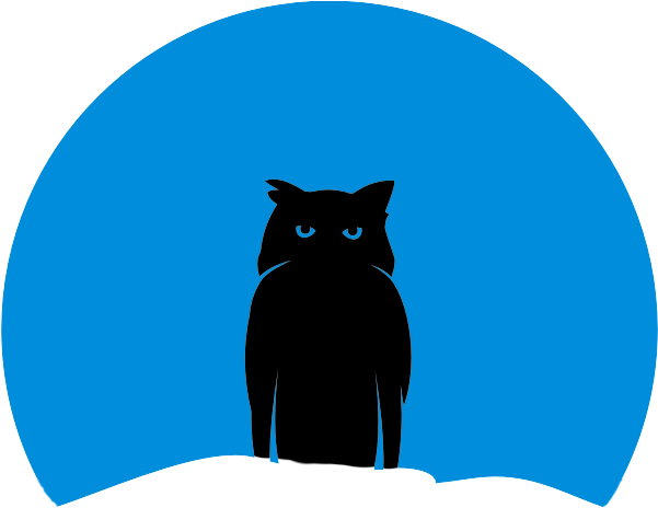 N - Black Cat (638x477)