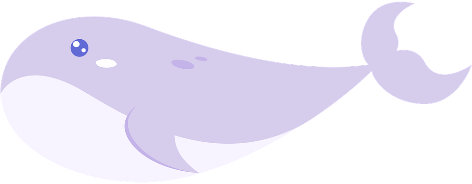 Cartoon Killer Whale - Balena - Temporarily Closed (960x480)