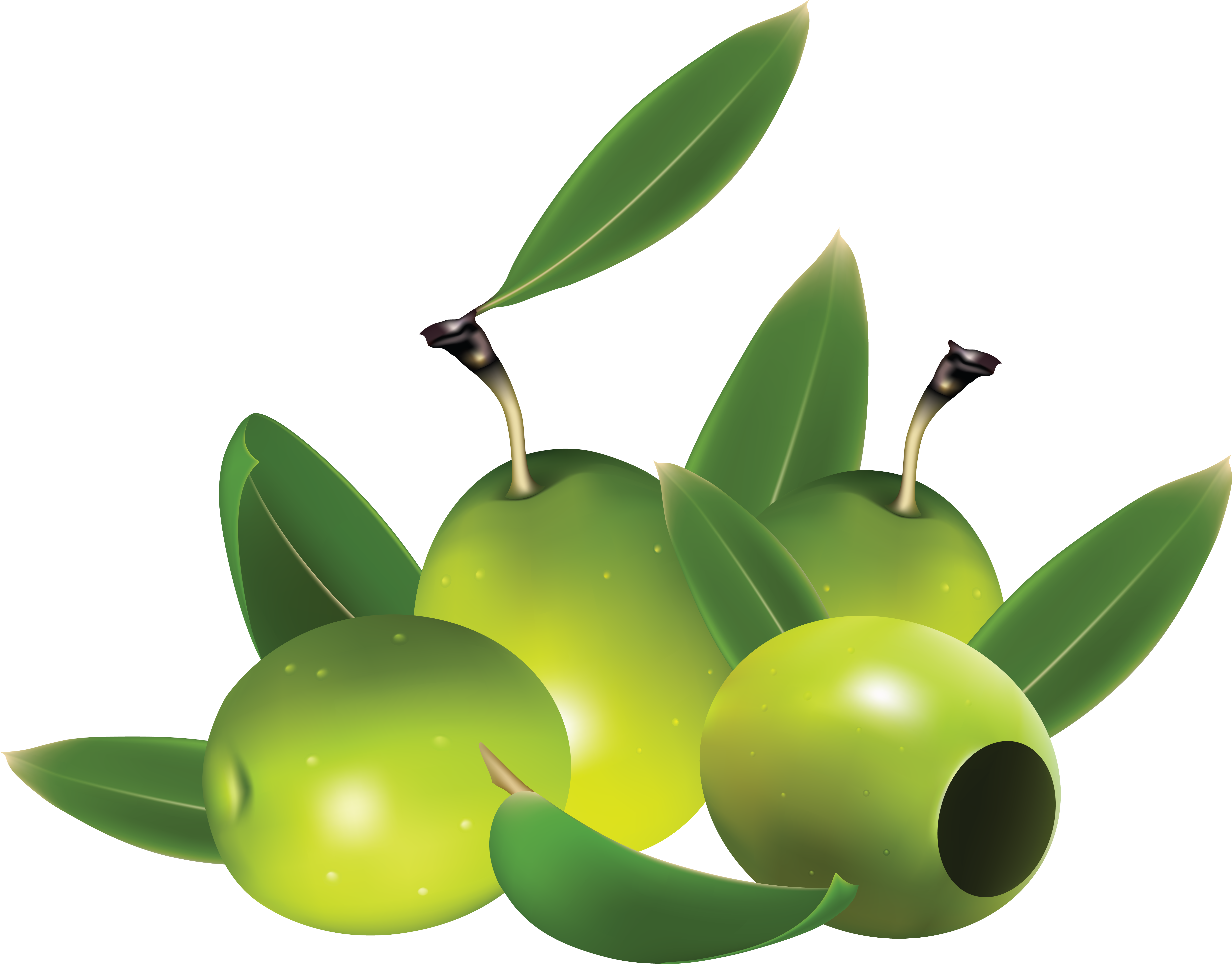 Olive Clipart (6206x4912)