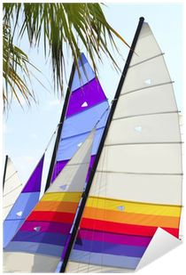 Sticker Hobie Cat Coloré Voiles Palmier Feuille • Pixers® - Sail (400x400)