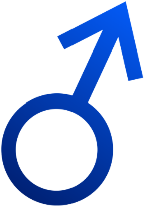 Gender Equality - Boy Symbol Clipart (318x421)