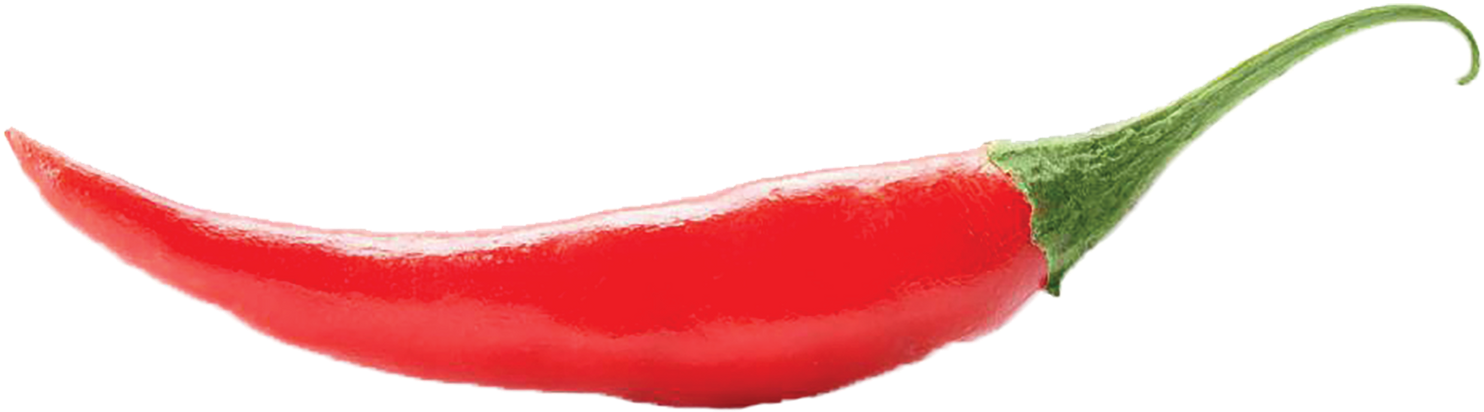 Chili Pepper Cayenne Pepper Serrano Pepper Bird's Eye - Hot Chile (1600x720)