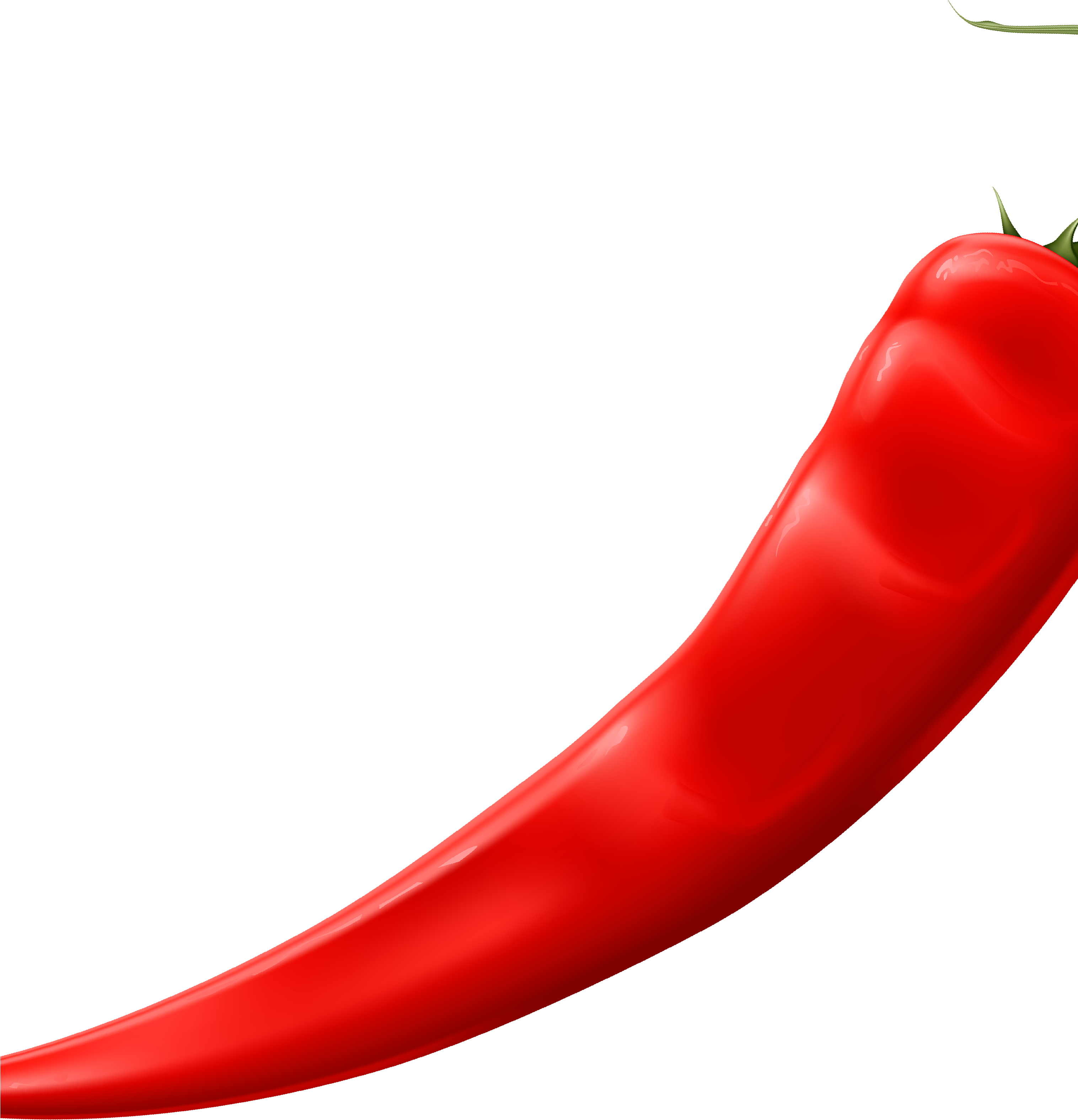 Cayenne Pepper Serrano Pepper Bell Pepper Chili Pepper - Cayenne Pepper Serrano Pepper Bell Pepper Chili Pepper (3032x3195)
