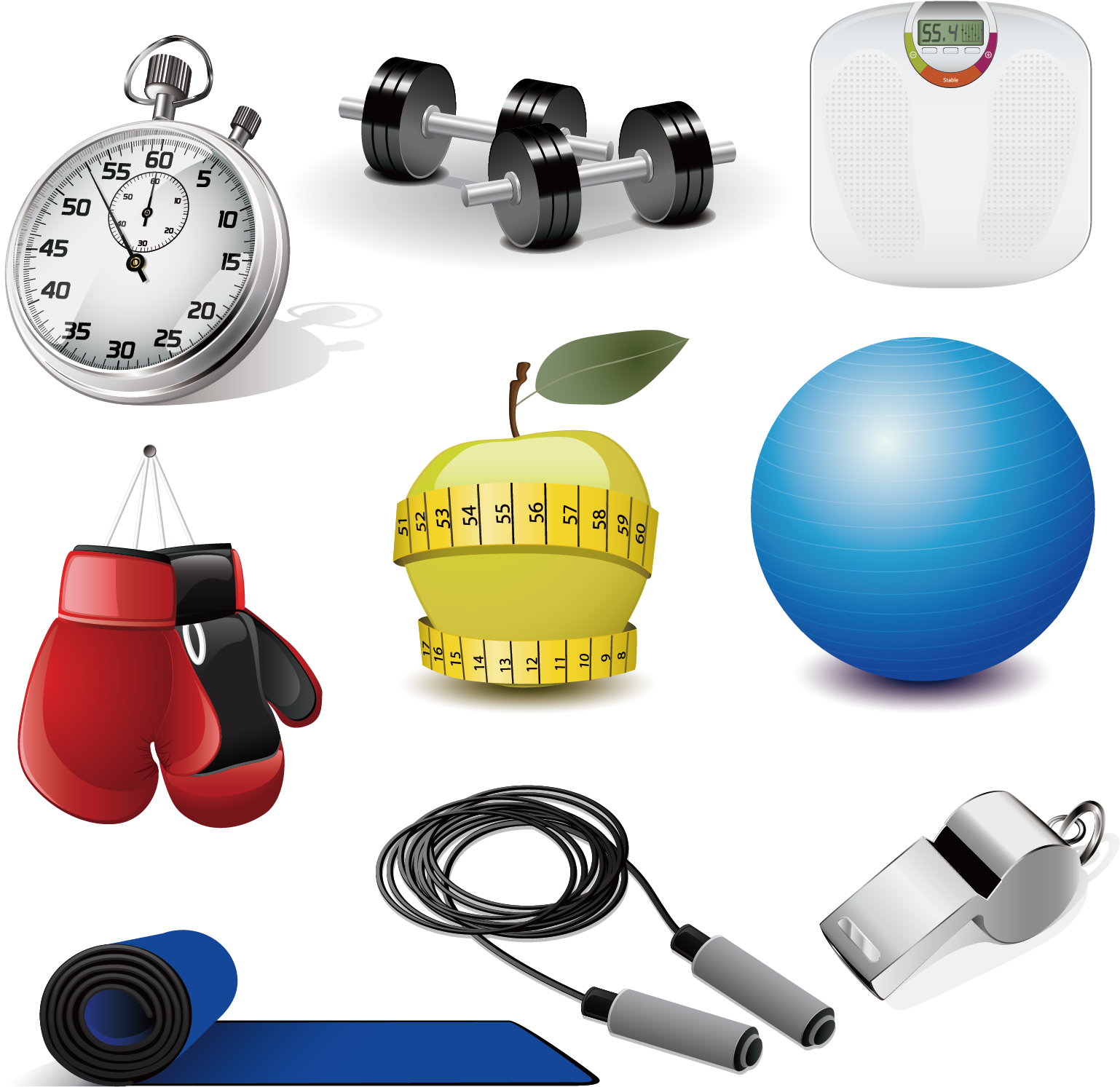 Exercise Equipment Physical Exercise Sports Equipment - Exercise Equipment Physical Exercise Sports Equipment (1772x1772)