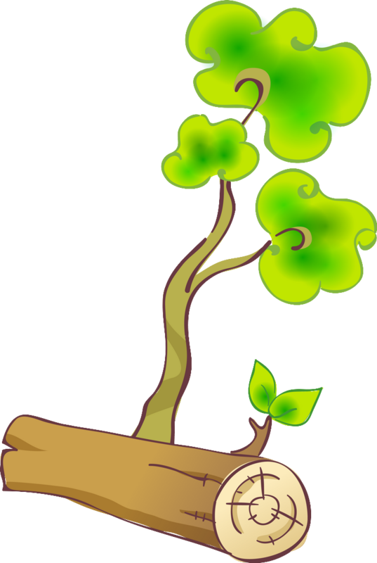 Tree Stump Branch Trunk Clip Art - Trunk (537x800)