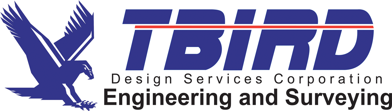 Tbird Design Services Corporation Logo - Design Services Corporation (1359x598)