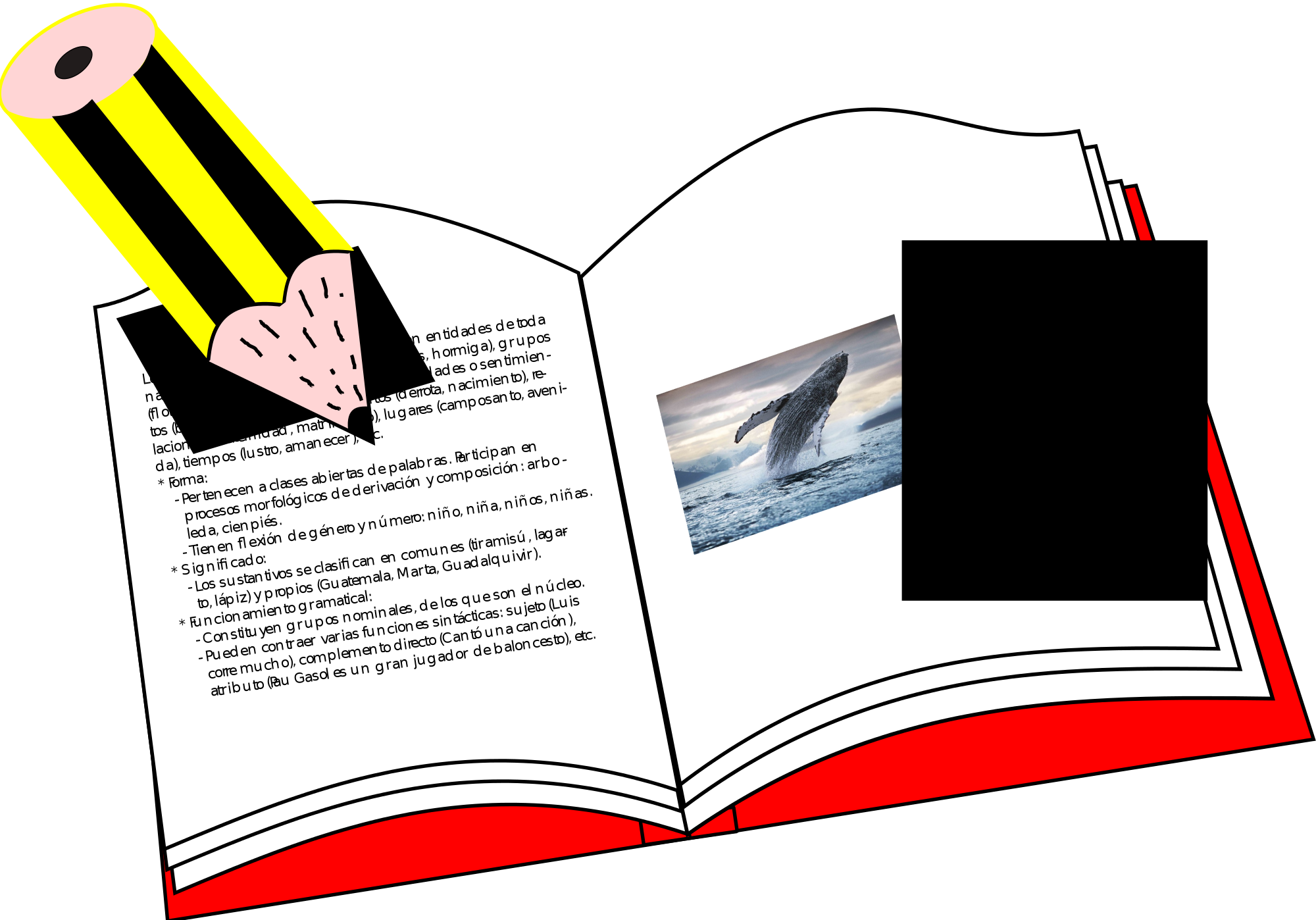 Open - Document (2000x1398)