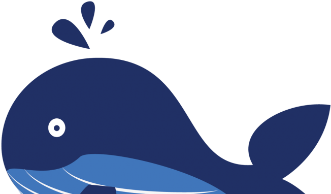 Under The Sea Clip Art By Zoss Design - Under The Sea Clip Art By Zoss Design (720x479)