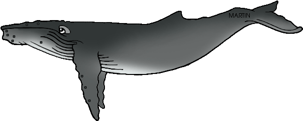 United States Clip Art By - Clip Art Humpback Whale (648x297)