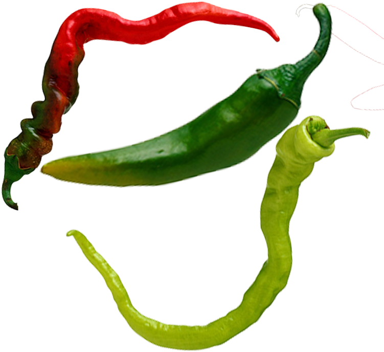 Serrano Pepper Birds Eye Chili Tabasco Pepper Cayenne - Serrano Pepper Birds Eye Chili Tabasco Pepper Cayenne (800x800)