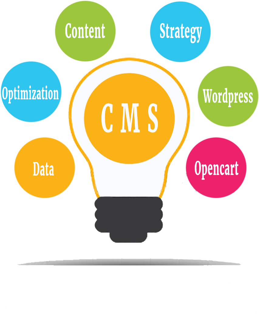 Ecommerce - “ - Content Management System (1200x1200)