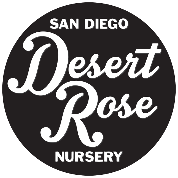 Index Of /pound/ Sets/social Media/social Media Icons/png/grey - Mail Icon (600x600)