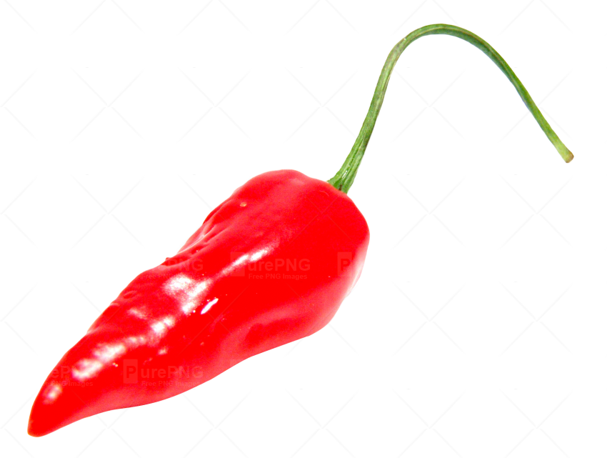 Red Chili Pepper Png Image - Chilli Pepper Png (850x641)