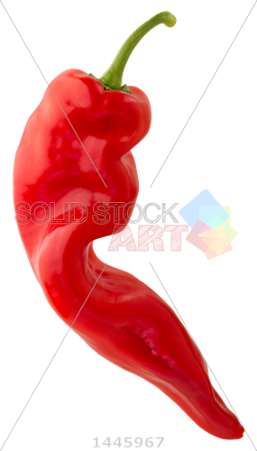 Stock Photo Of Twisted Red Sweet Chili Pepper On Transparent - Tabasco Pepper (285x500)