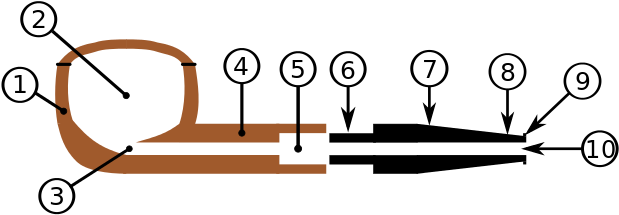 320 × 125 Pixels - Tobacco Pipe (640x250)