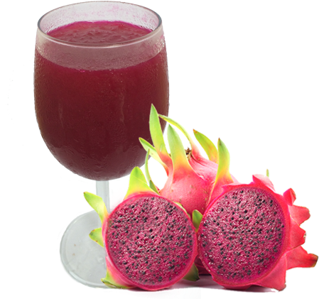 Red Dragon Fruit Puree And Iqf - Eternally Herbal Dragonfruit 10:1 Extract Powder 50g (486x426)
