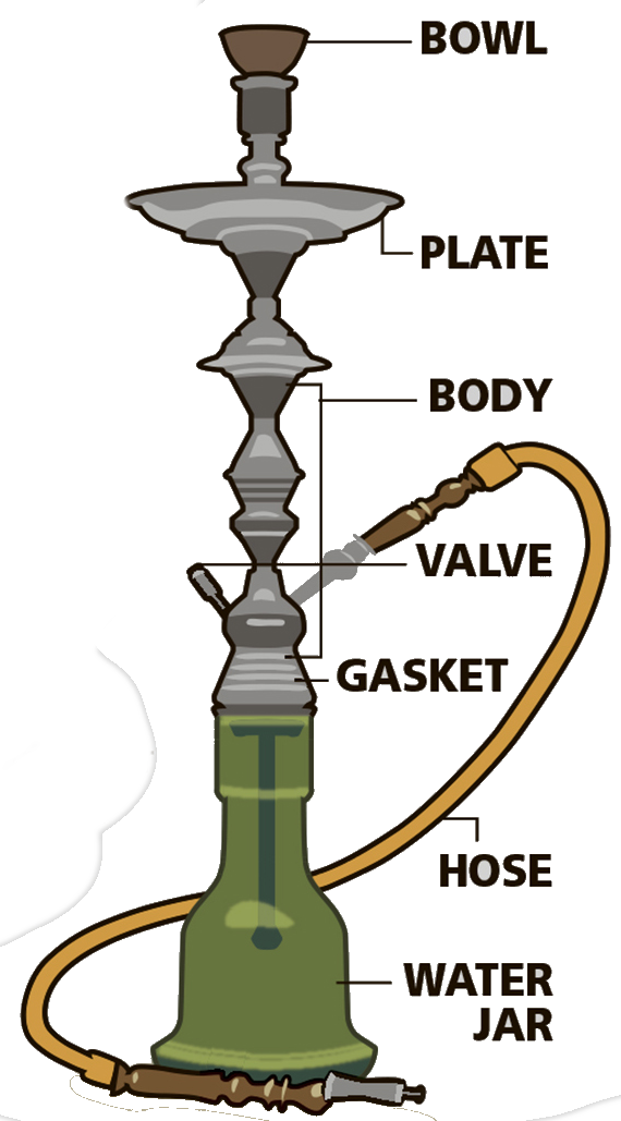 Hookah Smoking - Effects Of Hookah Smoking (570x1029)
