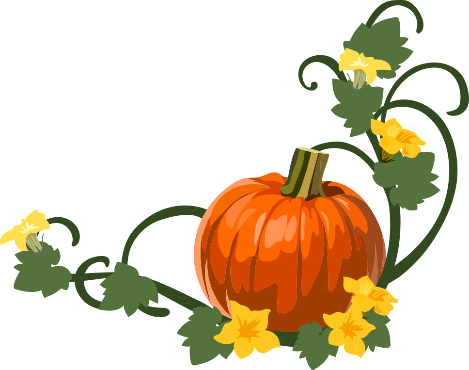 Miss Maria Grade - Pumpkin (968x763)