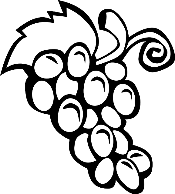 Black, Simple, Food, Fruit, Wine, Grapes, Outline - Fruits Pics For Colouring (577x640)