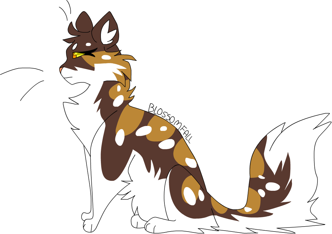 Warrior Cats Wc Blossomfall Thunderclan - Illustration (1076x758)