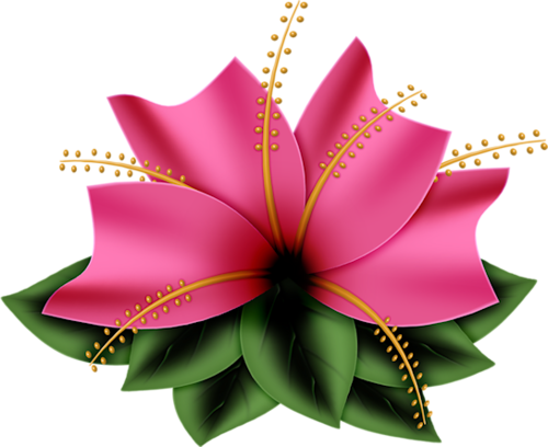 Flower - Have A Wonderful Wednesday (500x408)