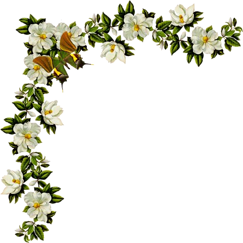 Tendrils Of Flowers - Victorian Floral Frame Die Cut (503x506)