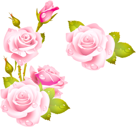 Soloveika Альбом «клипарт / Природа / Цветы / Розы» - 5d Diy Diamond Painting Cross Stitch Pink Rose Diamond (500x500)