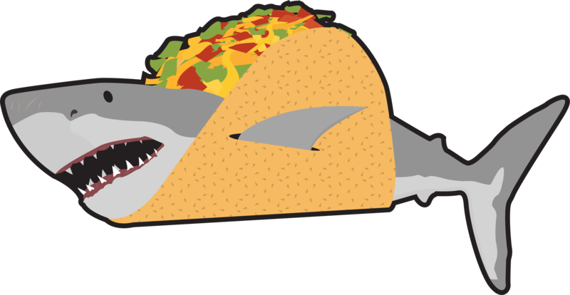 Shark A-taco By Tmldesign - Shark In A Taco (800x414)