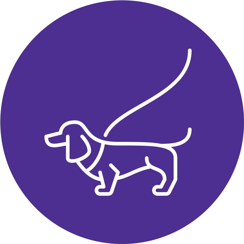 Dog Walking Prices - Dog (889x889)