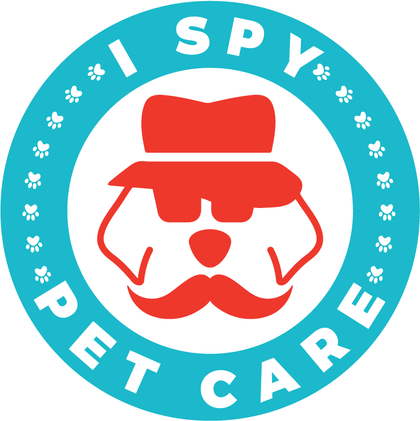 Dog Walking - Circle (1000x1000)