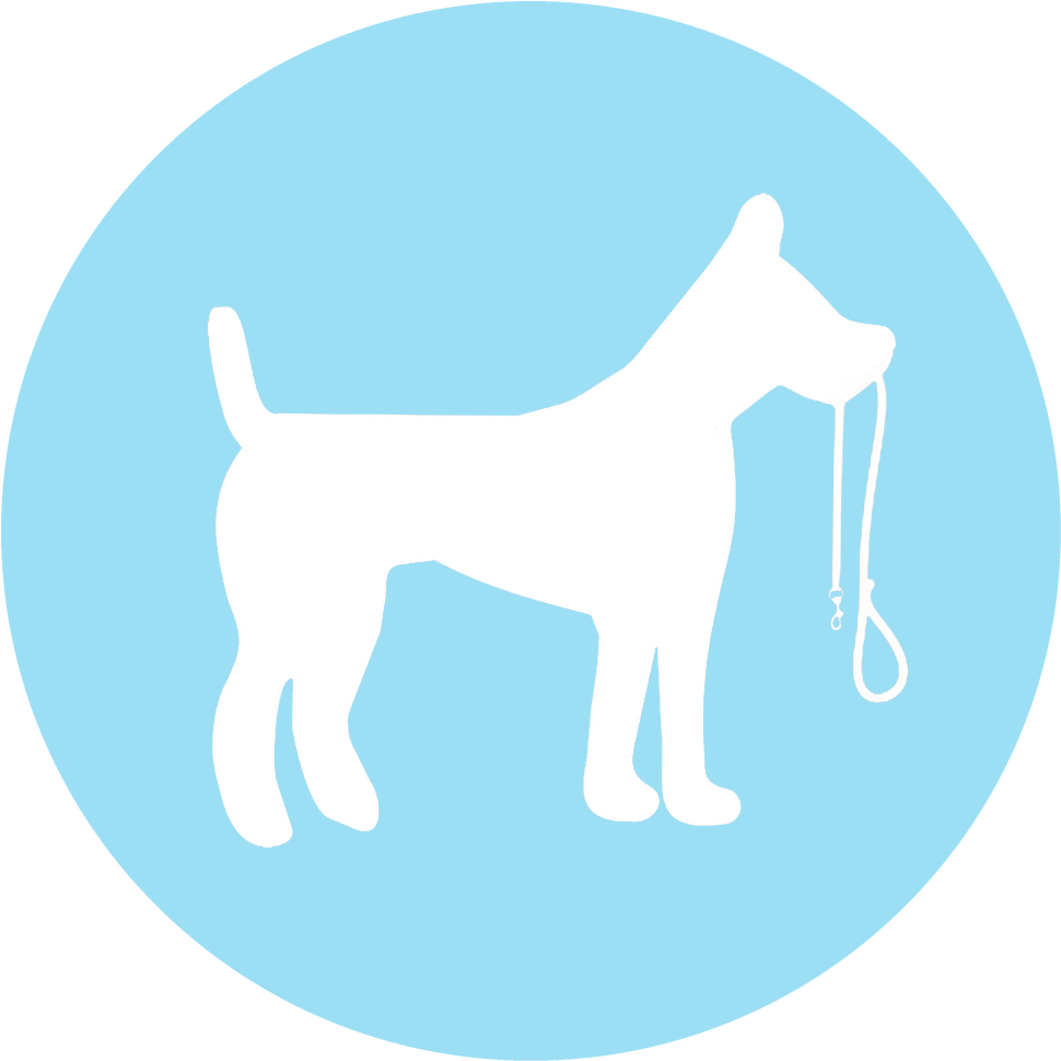 Dog Walking - Non Communicable Disease Icon (1024x1024)