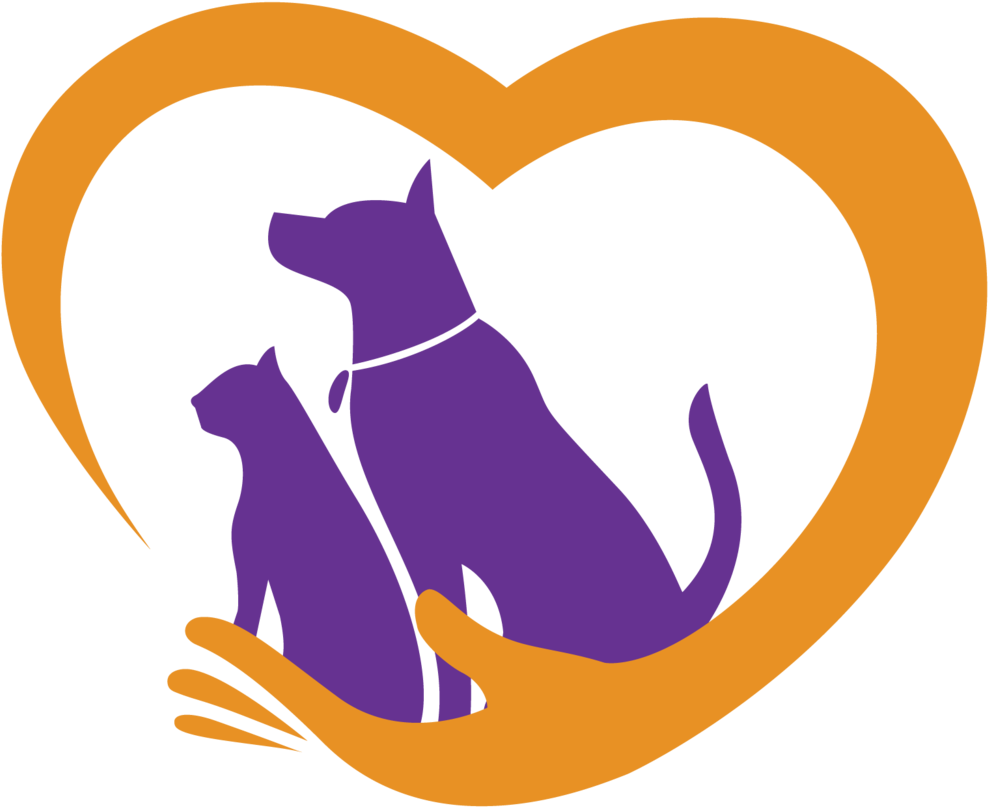 Dog Walking Pet Shop Cat - Dog Walking Pet Shop Cat (1000x835)