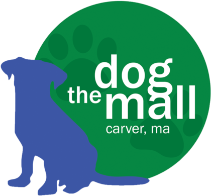 Currently, We Offering Dog Training, Canine Rehabilitation - The Dog Mall, Inc. (450x414)