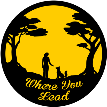Where You Lead - Where You Lead (350x350)