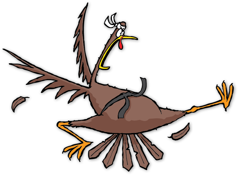 November 2017 Newsletter - Ninja Turkey (792x612)