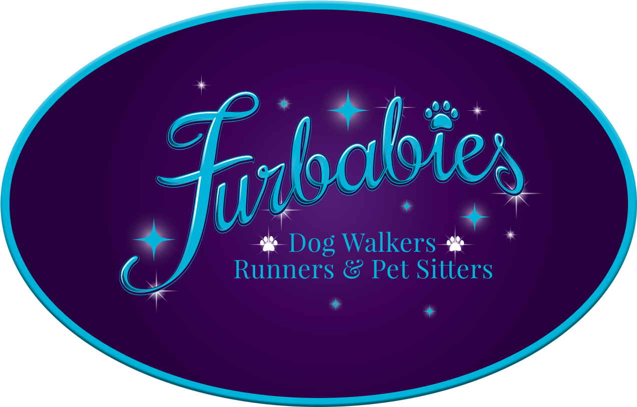 Furbabies Dog Walking And Pet Sitting Service With - Furbabies Dog Walkers, Runners And Pet Sitters Dallas (1354x897)