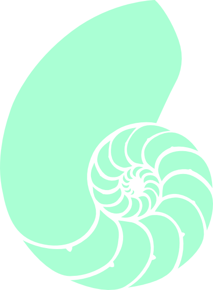 Nautilus Shell Kappa Delta (438x595)