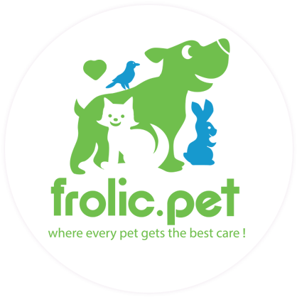 Dog Walking & Pet Sitting Services In Wellington, New - Door (451x432)