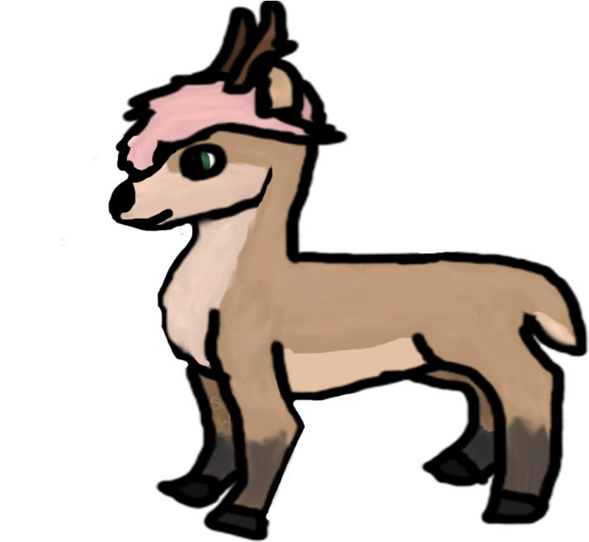 Free Shell Design Cliparts, Download Free Clip Art, - Library (1024x767)