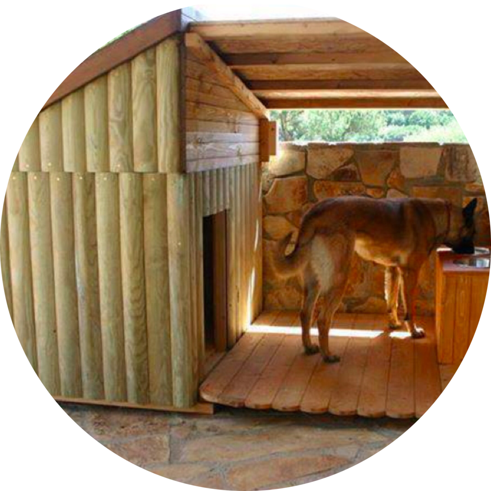 Img 4094 - Png - Casetas Para Perros Grandes (1000x1000)