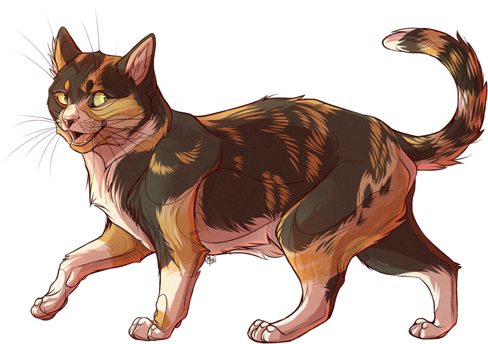 Fluffy Commission By Gato - Semi Realistic Cat Drawing (1024x692)