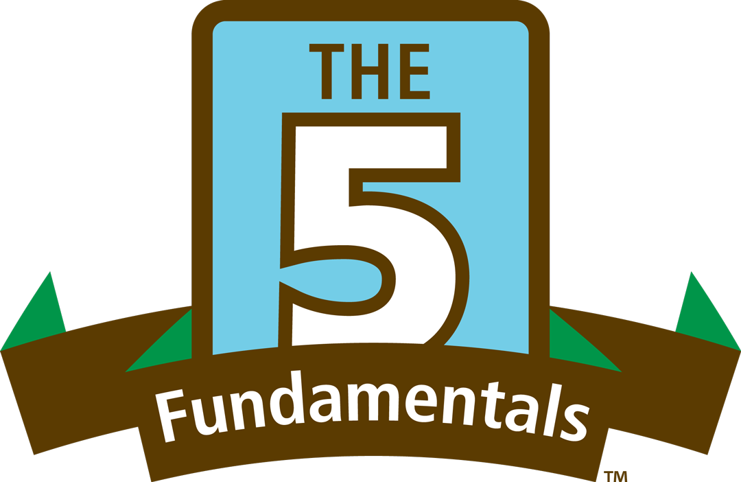 Profile's 5 Fundamentals - Profile's 5 Fundamentals (1080x702)